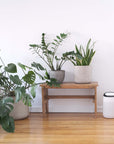 JS VANGUARD 2.0 The 2-in-1 Air Purifier HEPA and Dehumidifier