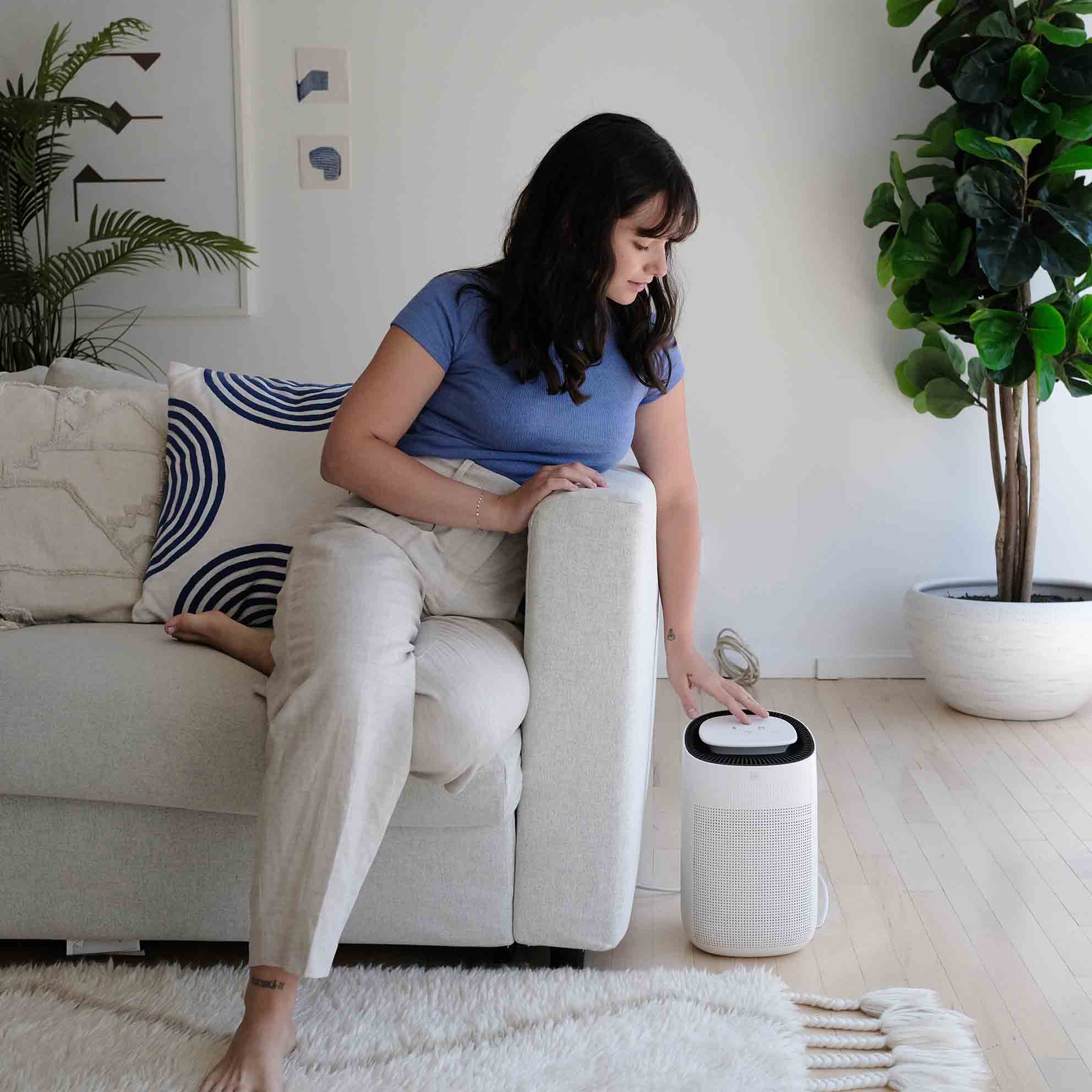 JS VANGUARD 2.0 The 2-in-1 Air Purifier HEPA and Dehumidifier