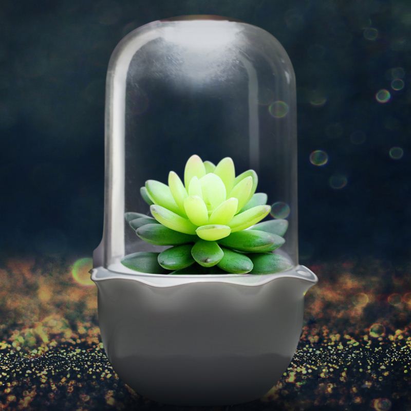 Home Growers