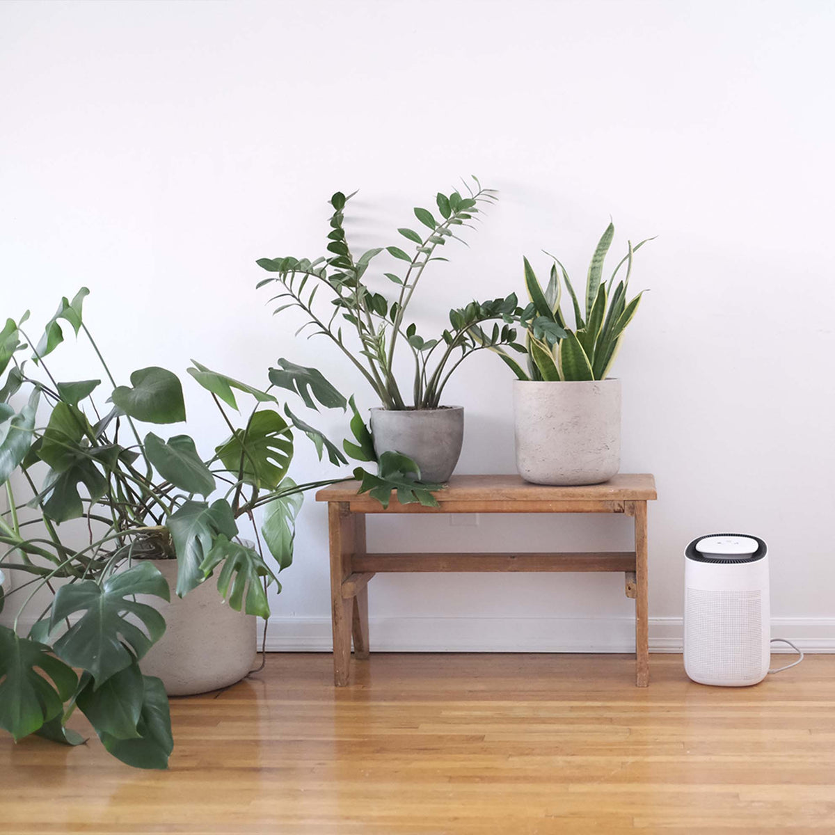 JS VANGUARD 2.0 The 2in1 Air Purifier HEPA and Dehumidifier JS Innovations