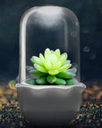 JS NEST - Smart Indoor Garden for Succulents