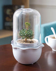 JS NEST - Smart Indoor Garden for Succulents