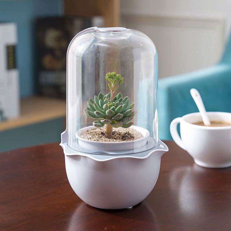JS NEST - Smart Indoor Garden for Succulents