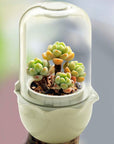 JS NEST - Smart Indoor Garden for Succulents