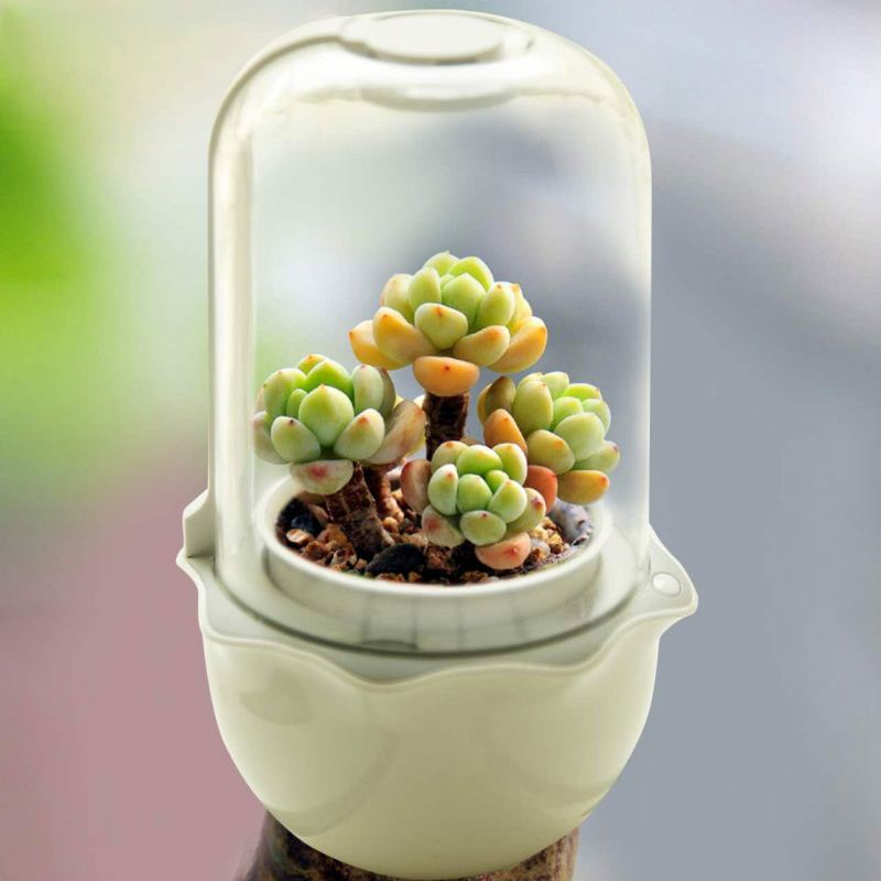 JS NEST - Smart Indoor Garden for Succulents