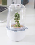 JS NEST - Smart Indoor Garden for Succulents