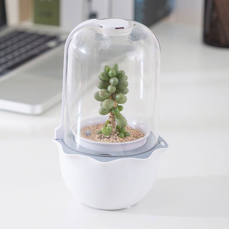 JS NEST - Smart Indoor Garden for Succulents