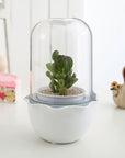 JS NEST - Smart Indoor Garden for Succulents