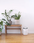 JS VANGUARD 2.0 - 2-in-1 Air Purifier HEPA and Dehumidifier (Open Box)