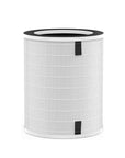 JS Complete Replacement Filter